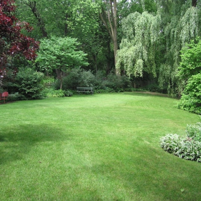 LAWN CUTTING